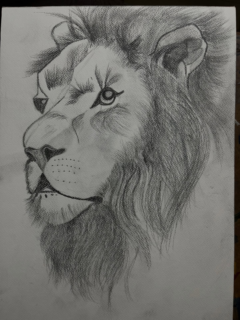 King of the wild, calm yet unstoppable — power isn’t loud, it’s felt. 🦁🔥